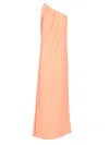Max Mara Pontida Dresses Rose