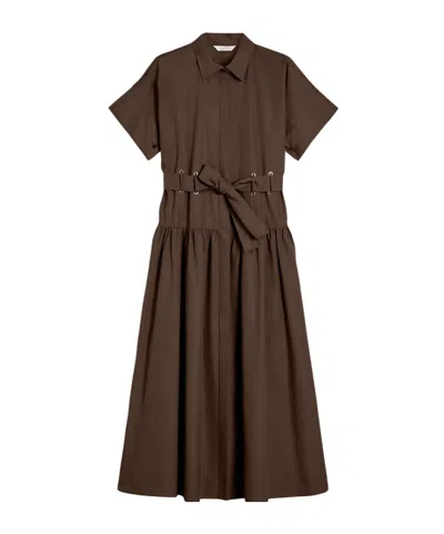 Max Mara Popelina Dress In Brown