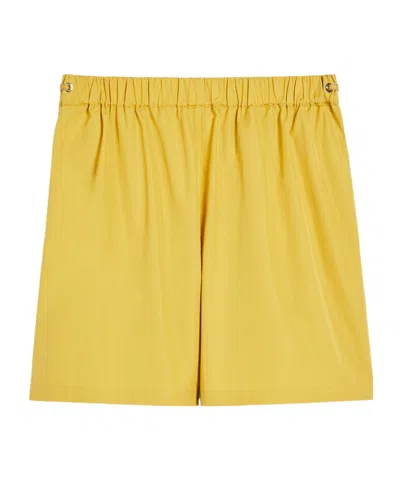 Max Mara Popelina Shorts In Yellow