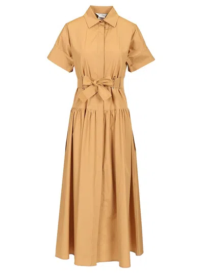 Max Mara Poplin Shirt Dress Dresses Brown