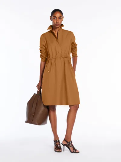 Max Mara Poplin Shirt Dress In Tobacco