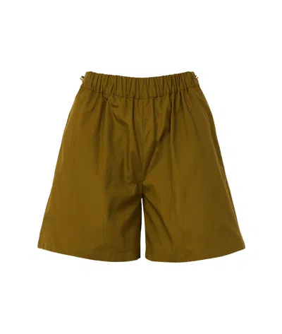 Max Mara Haway Cotton Poplin Shorts In Green