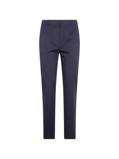 Max Mara Pianoforte Pleat Detailed Straight Leg Pants In Multicolor
