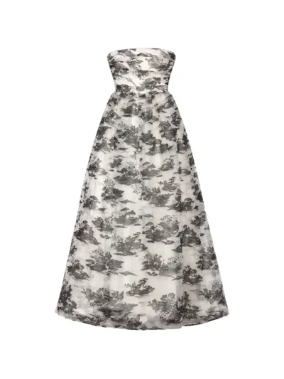Max Mara Printed Maxi Dress In Neutral