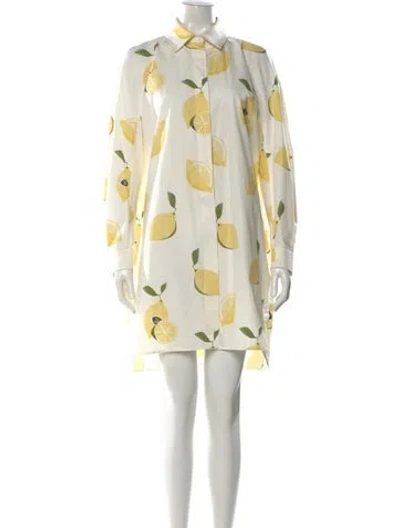Pre-owned Max Mara Printed Mini Dress In Neutral
