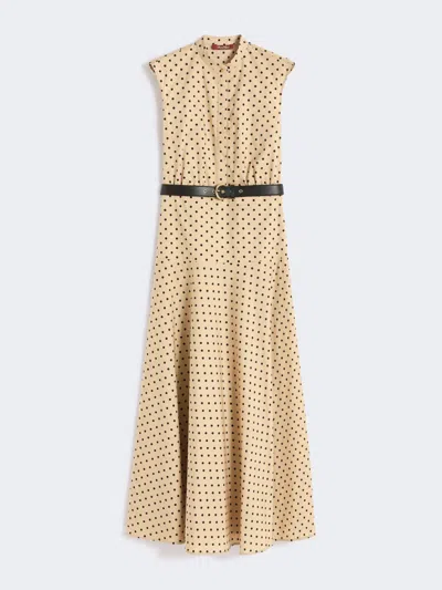 Max Mara Printed Poplin Shirt Dress In Metallic
