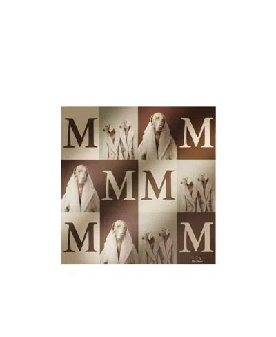 Max Mara Printed Scarf In Multicolor
