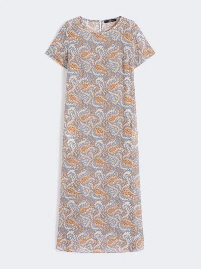 Max Mara Printed Silk Crêpe De Chine Dress In Multi