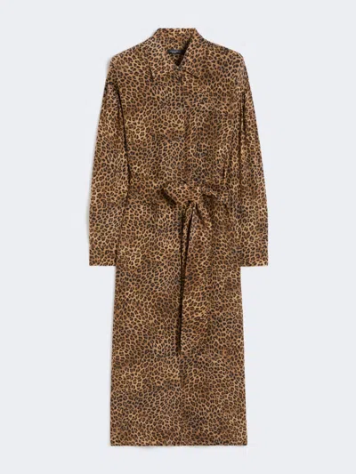 Max Mara Printed Silk Crêpe De Chine Shirt Dress In Brown