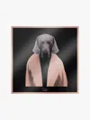 Max Mara Pattern Silk Scarf In Powder