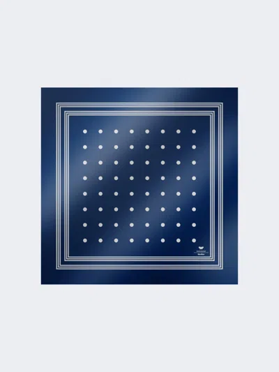 Max Mara Printed Silk Scarf In Blue