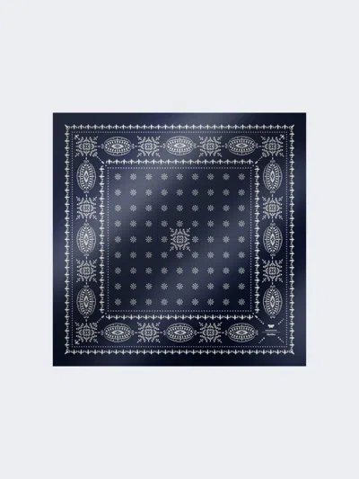 Max Mara Printed Silk Scarf In Blue