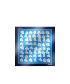 Max Mara Printed Silk Scarf In Blue