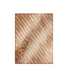 Max Mara Printed Silk Scarf In Nude