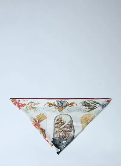 Max Mara Printed Silk Scarf In Multi