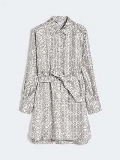 Max Mara Printed Silk Shirt Dress In Gray