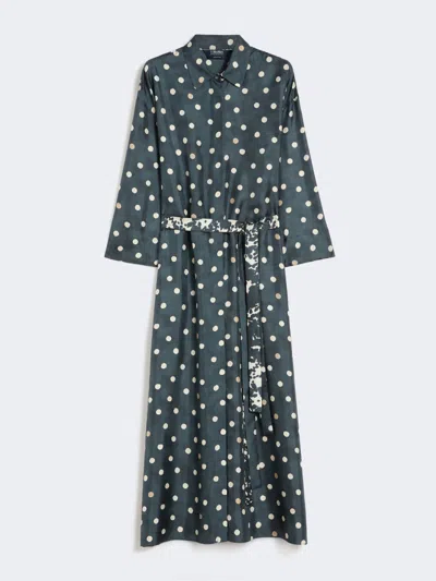 Max Mara Printed Silk Twill Dress In Blue