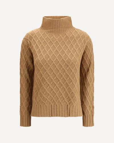 Max Mara Pure Turtleneck Sweater In Brown
