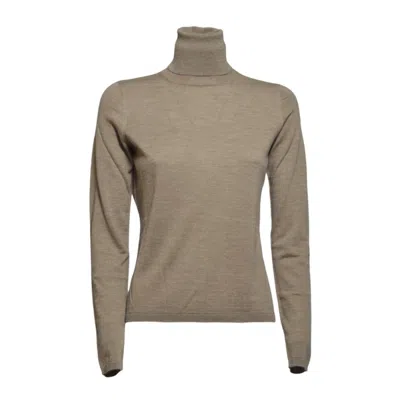 Max Mara Quick Cashmere Turtleneck In Camel In Gray