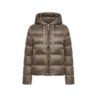 Max Mara Quilted Puffer Down Jacket In Multi