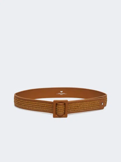 Max Mara Raffia Effect Belt In Brown