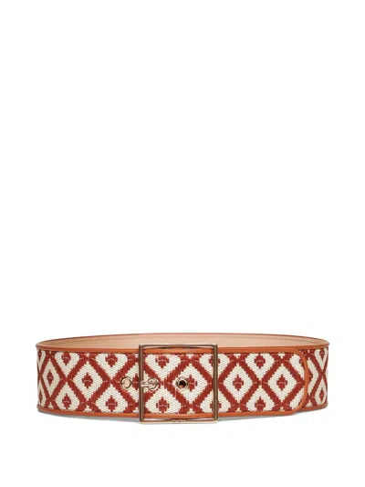 Max Mara Raffia-effect Wide Fabric Belt In Brown