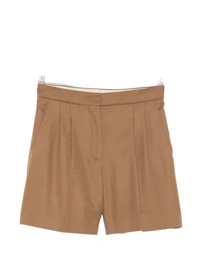 Max Mara Ragazza Pleated Shorts In Brown