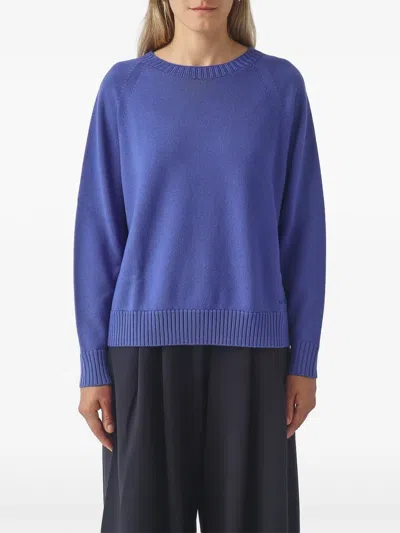 Max Mara Raglan-sleeve Ribbed-trim Sweater In Blue