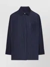 Max Mara Regular Fit Long Sleeve Collared Shirt In Blue