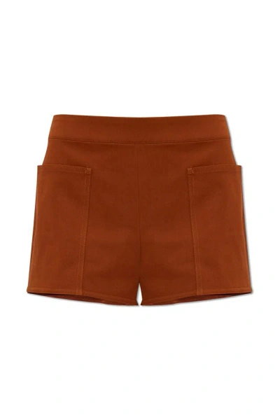 Max Mara Riad High Waist Shorts In Brown