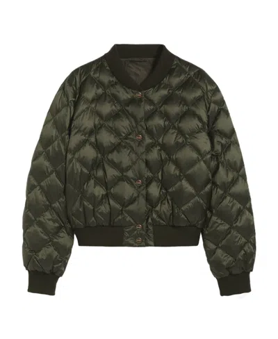 Max Mara Rib Collar Casual Jacket In Green