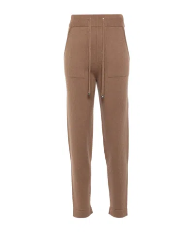 Max Mara Rib Knitted Sweatpants In Brown