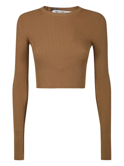 Max Mara Ribbed Fitted Sweater In Brown