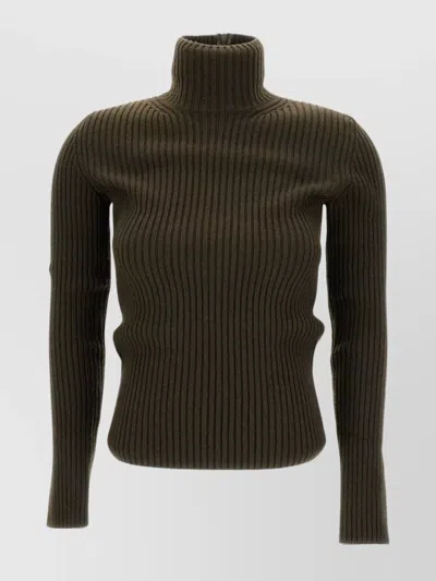 Max Mara Ribbed High Neck Long Sleeve Sweater In Brown