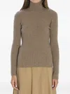 Max Mara Wool And Cashmere High Neck Knit Top In Brown