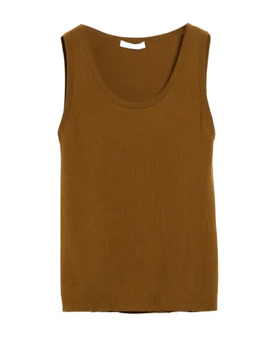 Max Mara Ribbed-knit Cotton Top In Brown