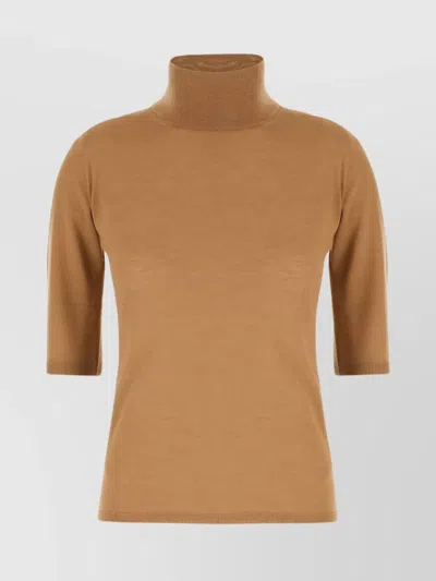 Max Mara Ribbed Turtleneck Half Sleeves Fitted Sweater In Brown