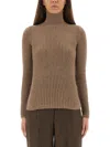Max Mara Fitted Long Sleeve Turtleneck Knit Sweater In Multi