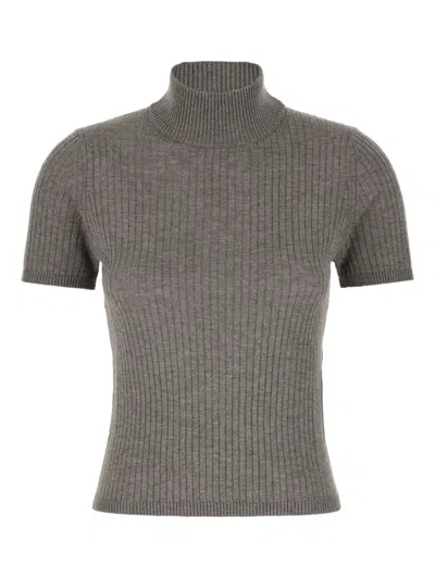 Max Mara Studio Turtleneck Short-sleeved Jumper In Gray