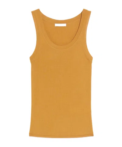 Max Mara Ribbed Wool Top In Brown