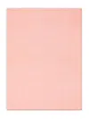 Max Mara Rivera Scarf In Pink