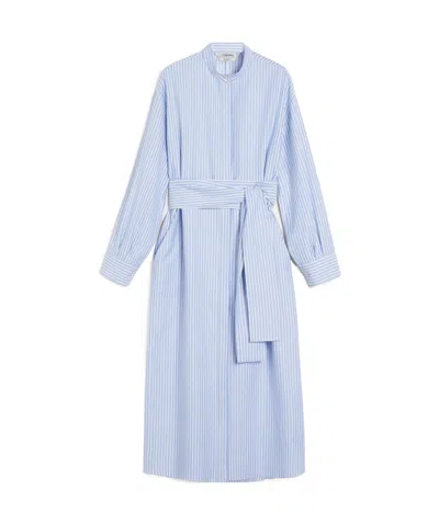 Max Mara Robe-chemise En Coton Oxford In Blue