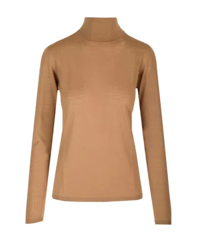 Max Mara Roll-neck Virgin Wool Jumper In Brown