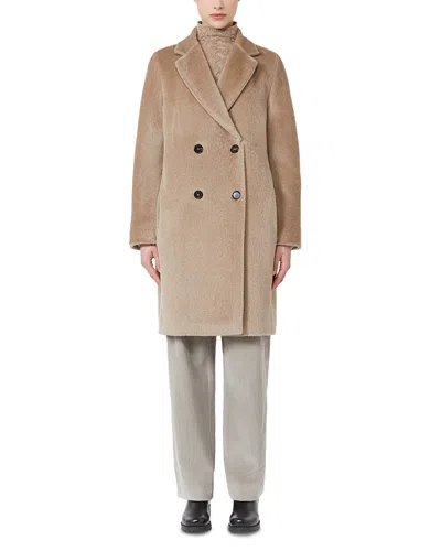 Max Mara Roseto Coat In Brown