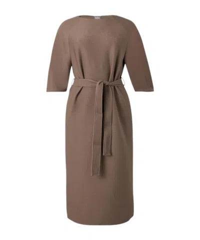 Max Mara Round Neck Dress In Brown