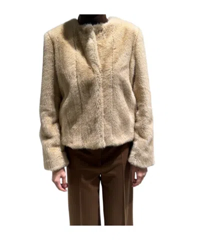 Max Mara Round Neck Long-sleeved Cotton Coat In Neutral