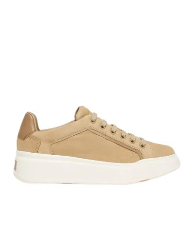 Max Mara Round-toe Low-top Casual Shoes In Brown