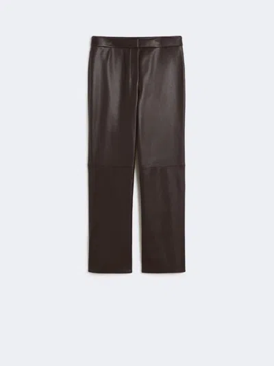 Max Mara S  Smmsublime Jersey Trouser Chocolate In Brown