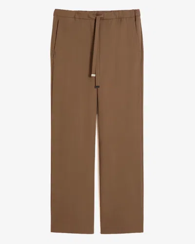 Max Mara S Pantalone Tessuto 100% Lana Vergine Ovis Aries Aries In Brown