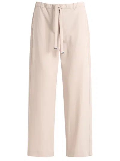 Max Mara S Pantalone Tessuto 100% Lana Vergine Ovis Aries Aries In Neutral